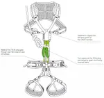 Show image 2