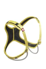 Show image 2
