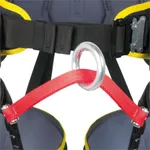 Show image 5